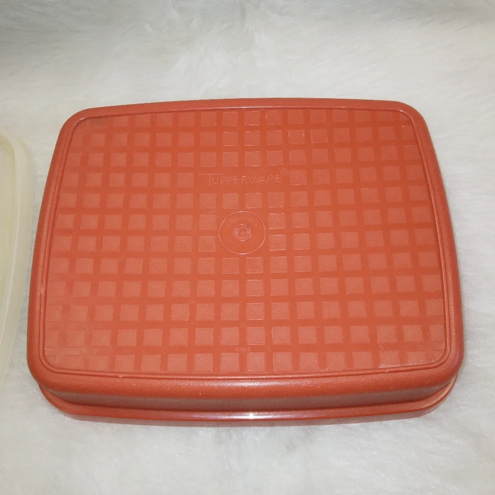TUPPERWARE 1518-3 Season Serve meat Marinator